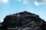 grosser_arber1