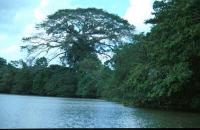Rio Fluss