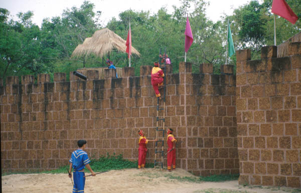 t101